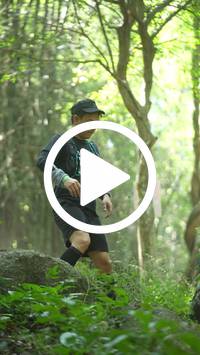 BIB:  <button type="button" onclick="openModal(27939614)" class="btn btn-primary btn-sm float-right" data-toggle="modal" data-target=".modal-high-quality">
                <i class="fa fa-download"></i> Download
                </button>